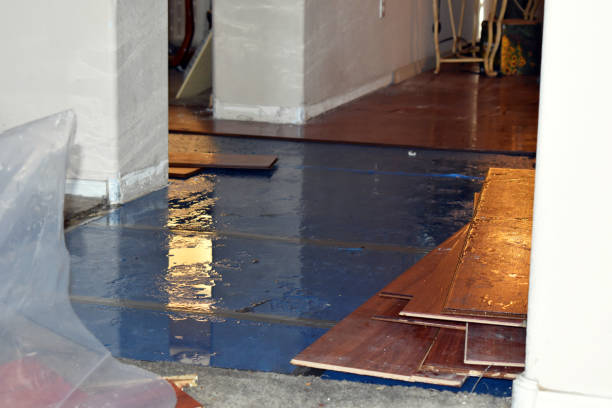 Professional Flood Damage Restoration technician working in Cypress, CA